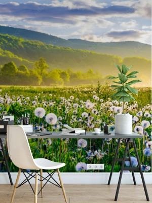 Fototapeta Piękny górski krajobraz z polem mniszka lekarskiego