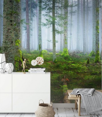 Fototapeta Scena w ciemnym mglistym lesie sosnowym z dywanem z mchu i powalonymi pniami drzew w Alzacji Francuskiej