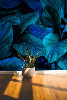 Fototapeta Tropikalne liście z niebieskim odcieniem