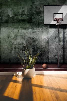 Fototapeta Boisko do koszykówki