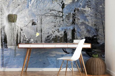 Fototapeta Skuter na leśnym torze narciarskim