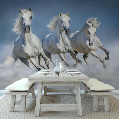 Fototapeta Śnieżny galop