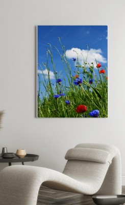 Obraz na płótnie Maki ma tle letniego, błękitnego nieba