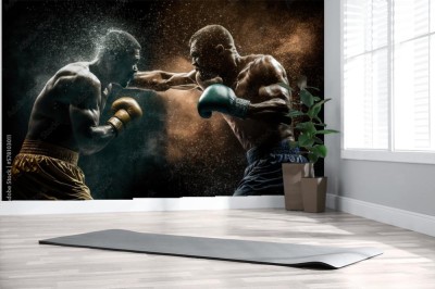 bokserzy-w-epickim-pojedynku
