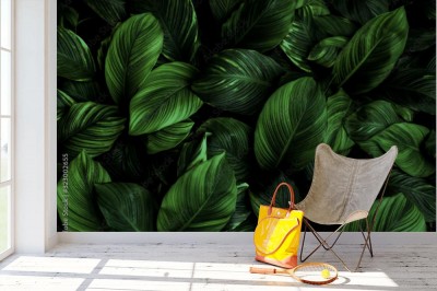 Fototapeta do salonu z zielonymi liśćmi w tle