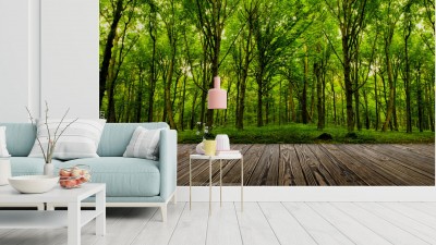 Fototapeta Drzewa leśne