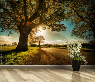 Fototapeta Drzewo jesienią