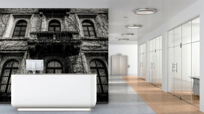 Fototapeta Spooky House With Dead Vines