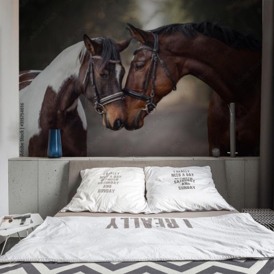 Fototapeta Zakochane konie