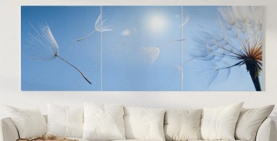 Obraz na płótnie latające nasiona mniszka lekarskiego na niebieskim tle