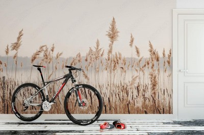 Fototapeta do sypialni - Brzeg jeziora z trawą