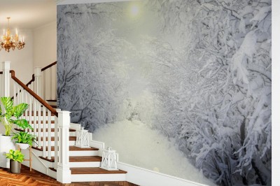 Fototapeta Zimowy las nasłoneczniony