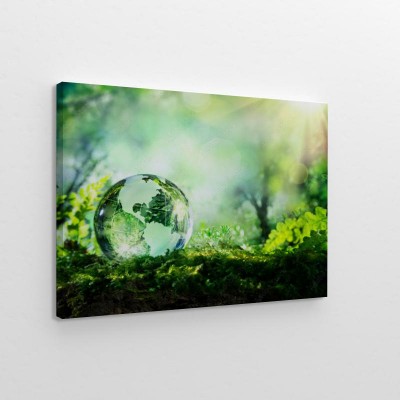 Obraz na płótnie Kryształowa kula ziemska na mchu w lesie