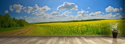 Fototapeta Wiosenne pole kwiatów