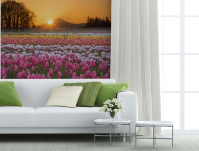 Fototapeta Wschód słońca nad Mt  Kaptur z tulipanami