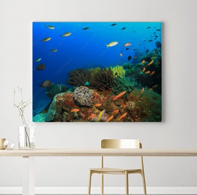 Obraz na płótnie z motywem akwarystycznym