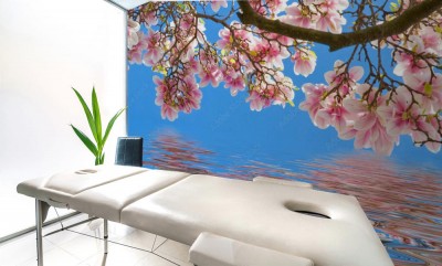 Fototapeta Magnolie na wodzie