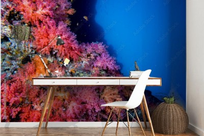 Fototapeta Podwodny krajobraz morski