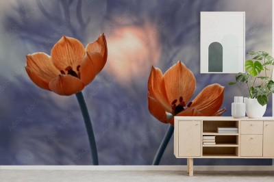 Fototapeta Pomarańczowe kwiaty