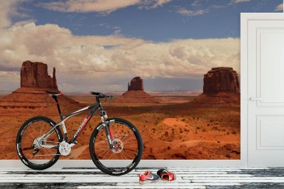 Fototapeta Popołudniowy widok Monument Valley