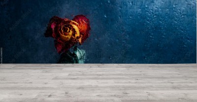 Fototapeta Smutna róża