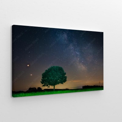Obrazy do salonu Droga Mleczna z samotnym drzewem na wzgórzu