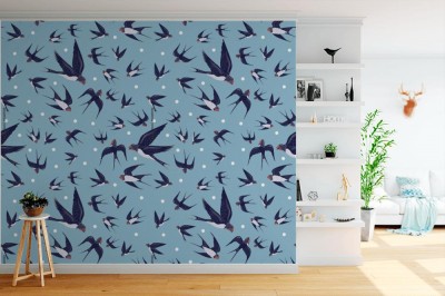 Fototapeta Jaskółki i jeżyki na tle nieba