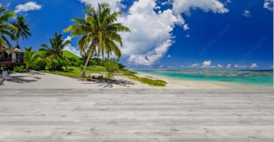 Fototapeta Biała piaszczysta plaża, z płytką wodą i palmami