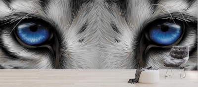 Fototapeta Niebieskie oczy na czarnobiałym tygrysie