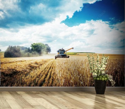Fototapeta Kombajn podczas pracy