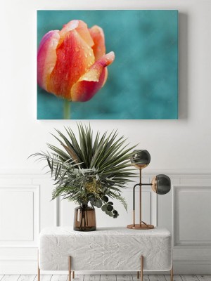 Obraz na płótnie Pomarańczowy tulipan w czerwone paski