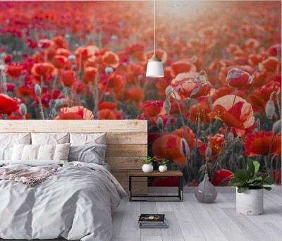Fototapeta Panorama z czerwonymi makami - kolor selektywny