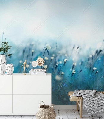 Fototapeta Mglisty poranek na łące