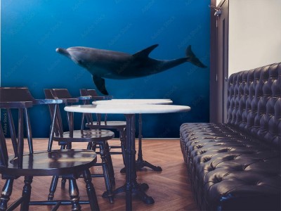 Fototapeta Morska podróż delfina