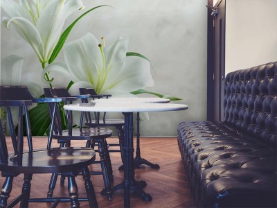 Fototapeta Piękne białe lilie na lekkim tle