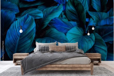 Fototapeta Tropikalne liście z niebieskim odcieniem