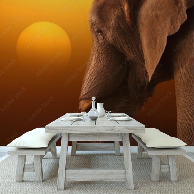 Fototapeta Wizerunek słonia przy wschodzie słońca