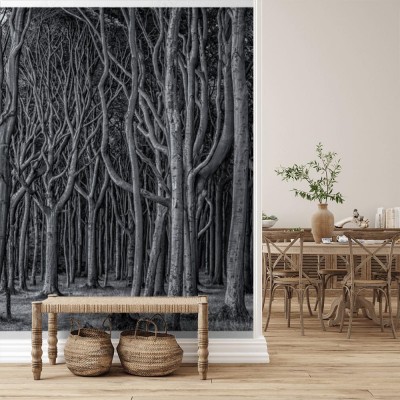 Fototapeta z czarno białym tajemniczym lasem