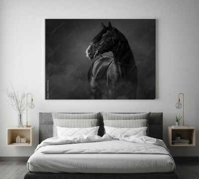 czarno-bialy-portret-czarnego-konia-andaluzyjskiego-w-lekkim-dymie