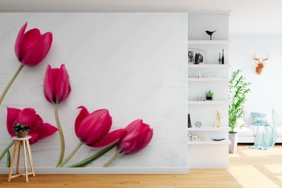 Fototapeta Bukiet różowych tulipanów na białym drewnianym tle