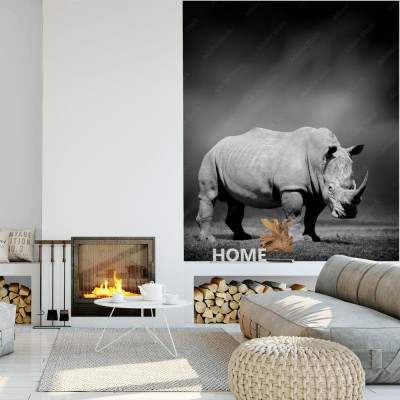 Fototapeta Czarno-biały obraz nosorożca