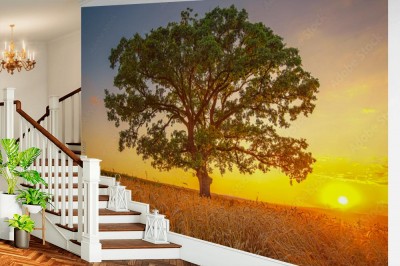 Fototapeta Duże zielone drzewo na polu