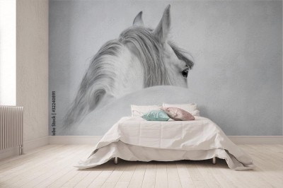 Fototapeta Koń andaluzyjski we mgle