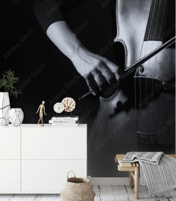 Fototapeta Piękna kobieta trzymająca wiolonczelę na czarnym tle