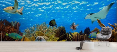 Fototapeta Podwodna panorama tropikalnej rafy na Karaibach