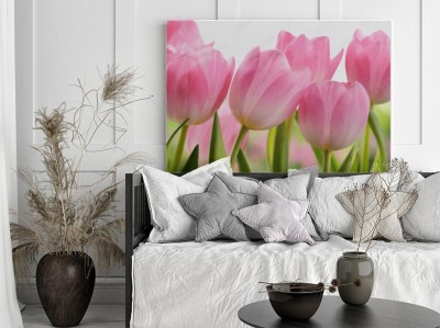 swieze-kwiaty-tulipanow