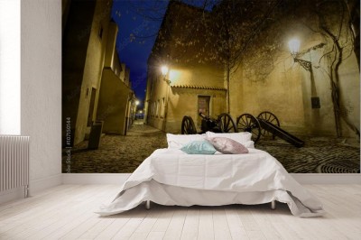 Fototapeta Nowożytna artyleria 