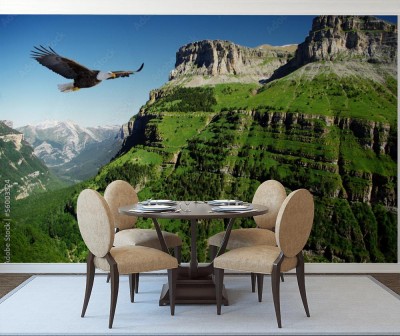 Fototapeta Orzeł w dolinie Ordessa