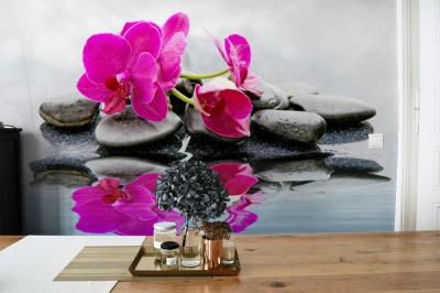 Fototapeta Różowe orchidee i czarne kamienie z bliska