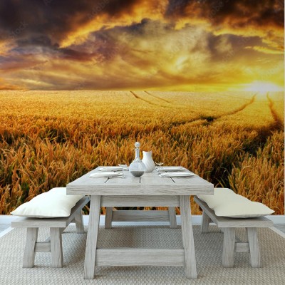 Fototapeta Zmierzch na polu, ostrość na przedpolu